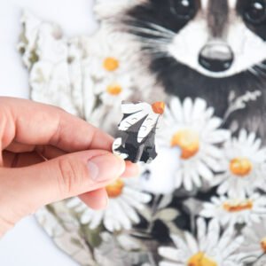 Puzzle Raton Poznaș - imagine 9